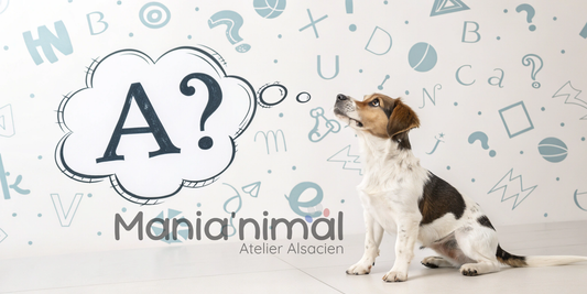 Nom-de-chien-en-A-pour-2025-Trouvez-le-prénom-idéal Mania'nimal