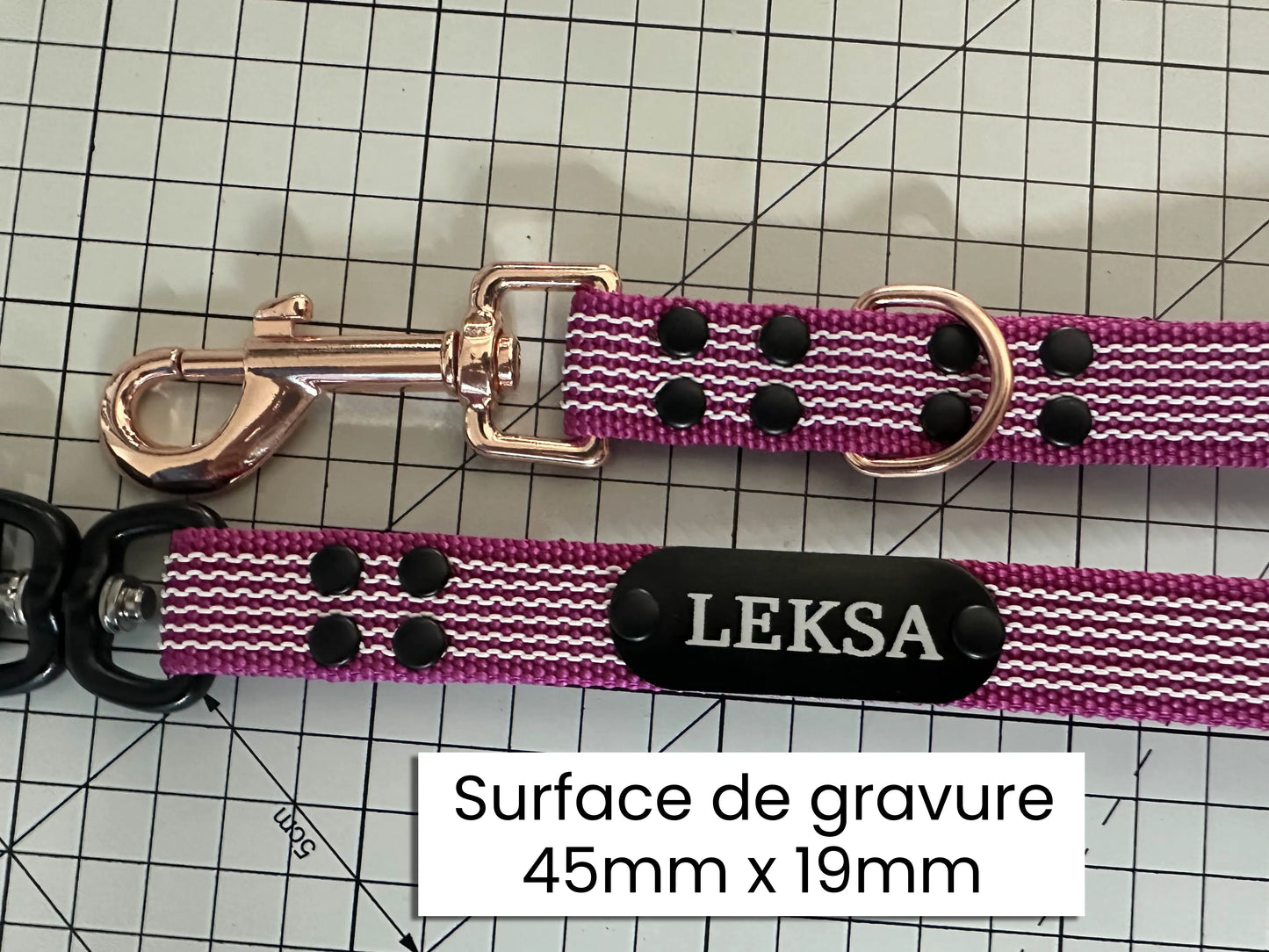 Laisse Color' Mania'nimal